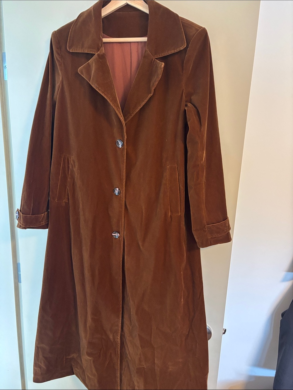 Brown Velvet Long Coat
